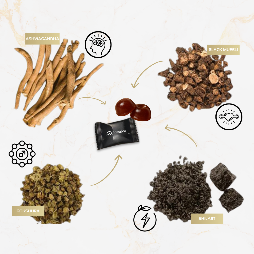 PrimalVit™ Shilajit Gummies